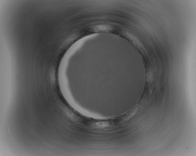 X0000113780353200910141043