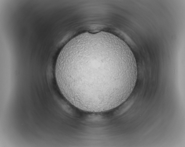 X0000113780354200910141043