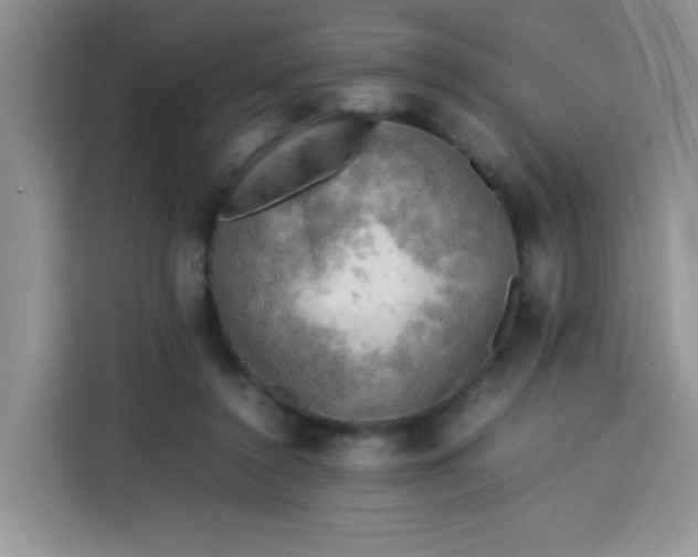 X0000113780356200910141043