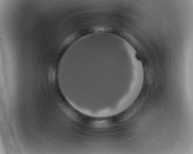 X0000113780357200910141043