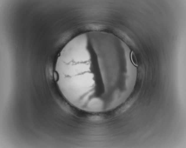 X0000113780358200910141043