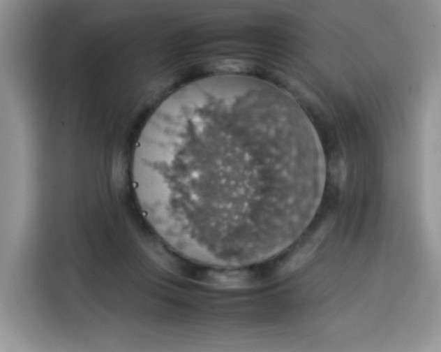 X0000113780359200910141043