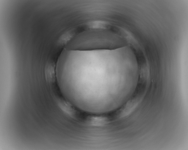 X0000113780360200910141043