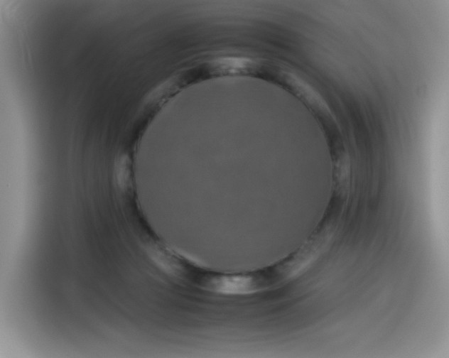 X0000113780361200910141043