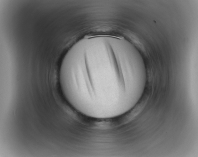 X0000113780362200910141043