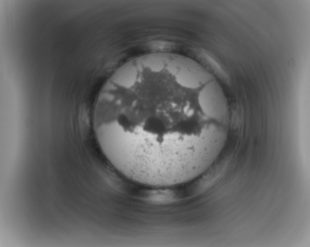 X0000113780363200910141043