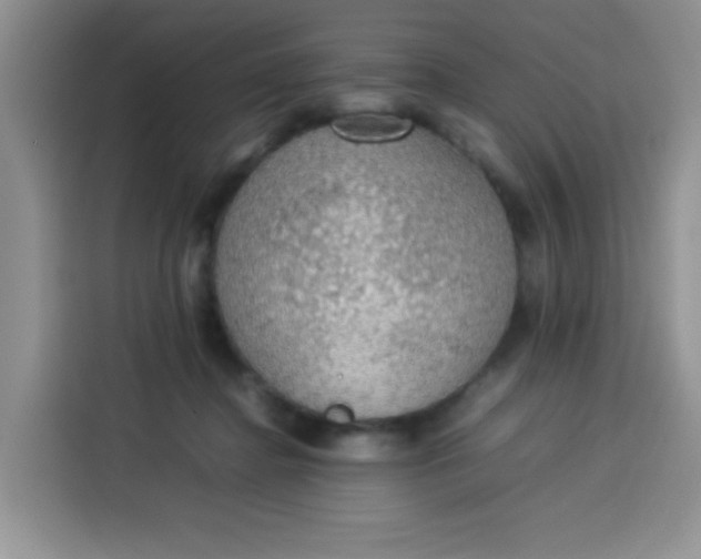 X0000113780364200910141043