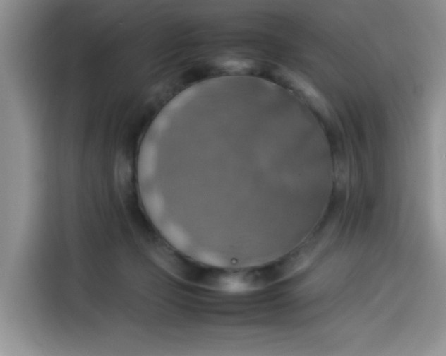 X0000113780365200910141043