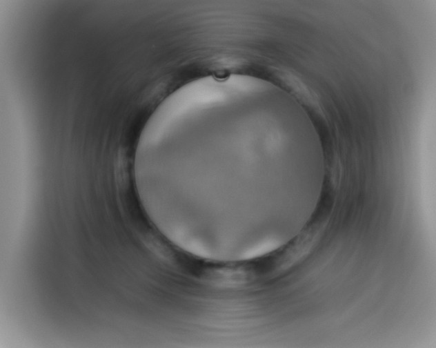 X0000113780366200910141043