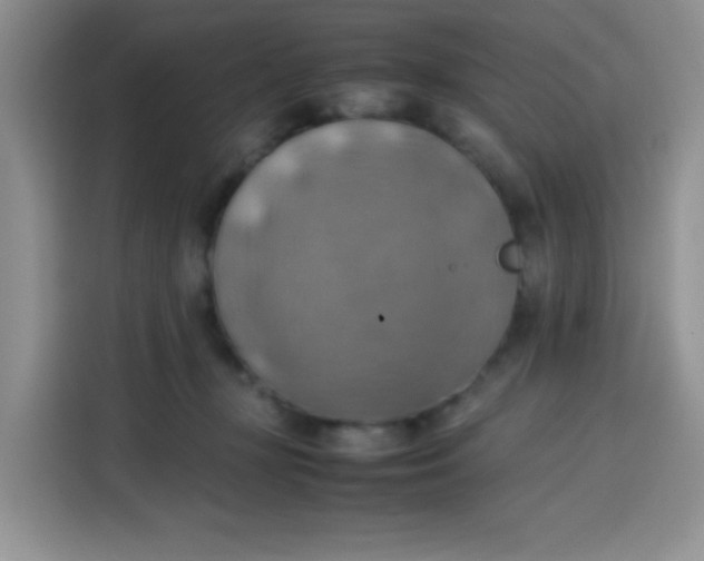 X0000113780367200910141043