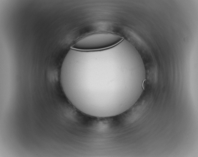 X0000113780368200910141043