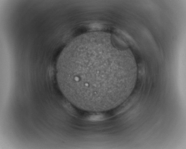 X0000113780369200910141043