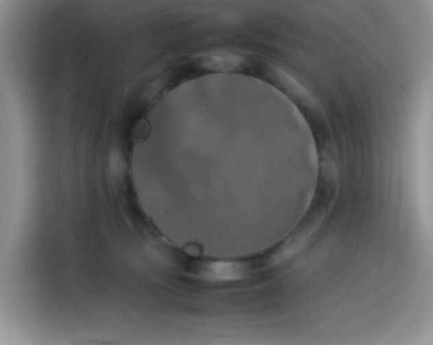 X0000113780371200910141043