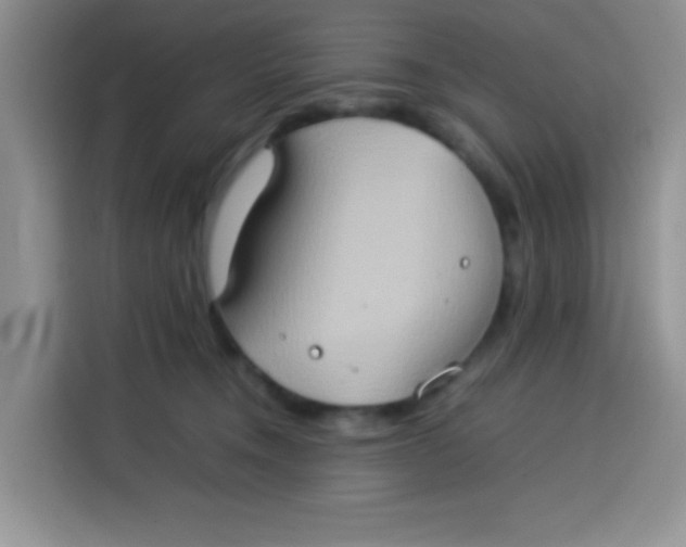 X0000113780372200910141043