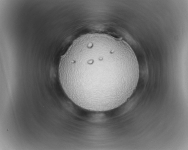 X0000113780374200910141043