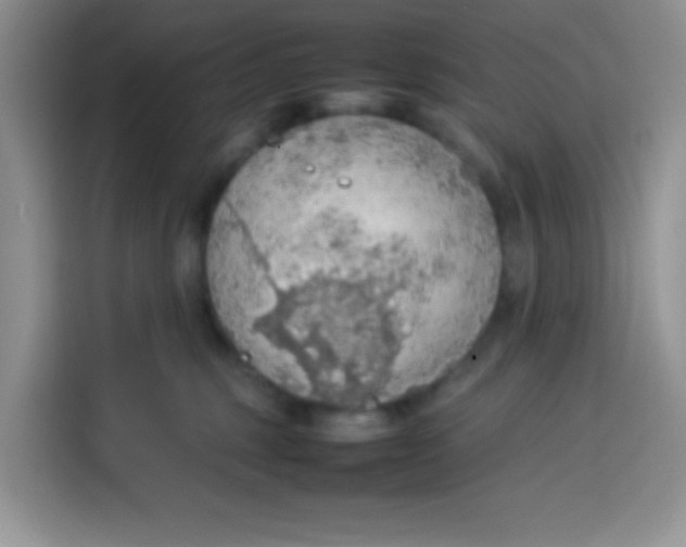 X0000113780375200910141043