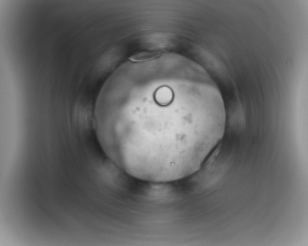 X0000113780376200910141043