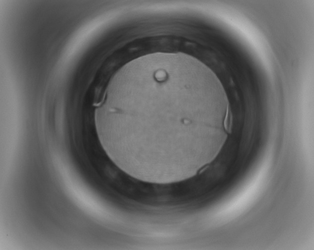 X0000113780382200910141043