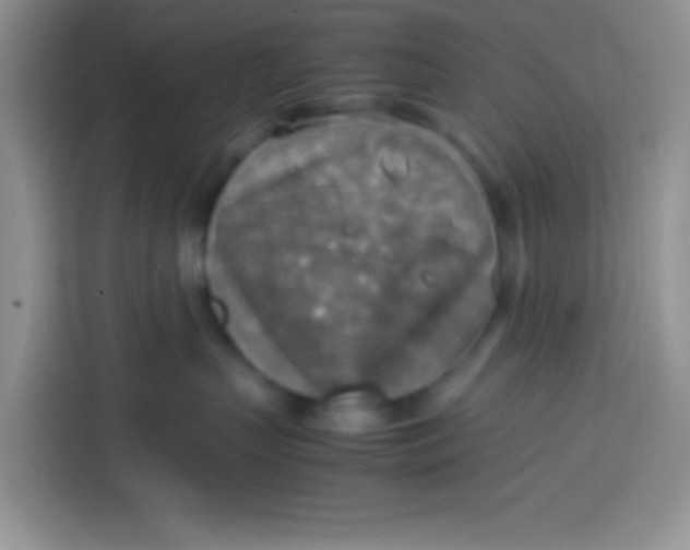 X0000113780383200910141043