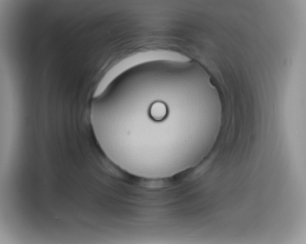 X0000113780384200910141043