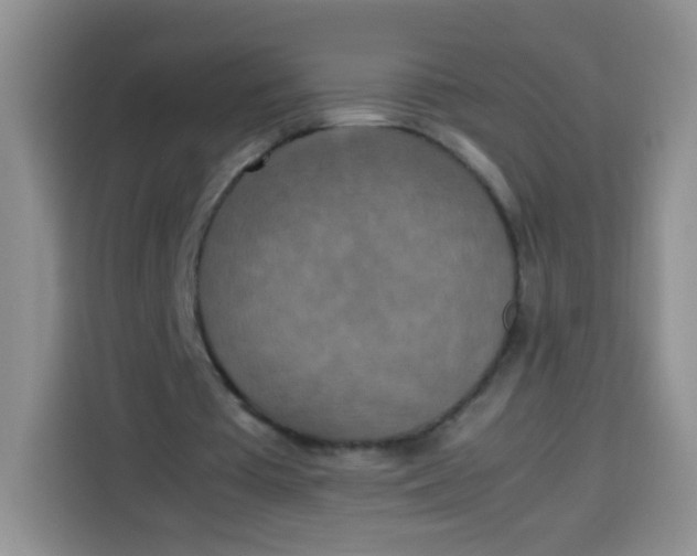 X0000113780385200910141043