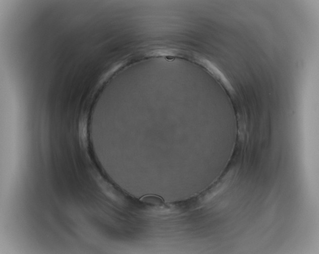 X0000113780386200910141043