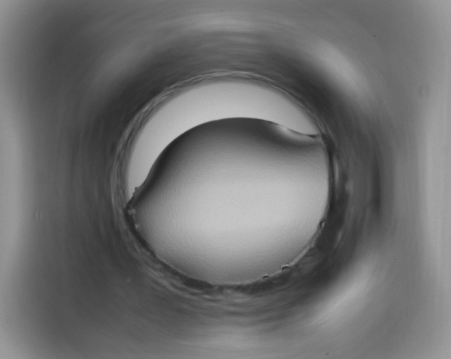 X0000113780387200910141043