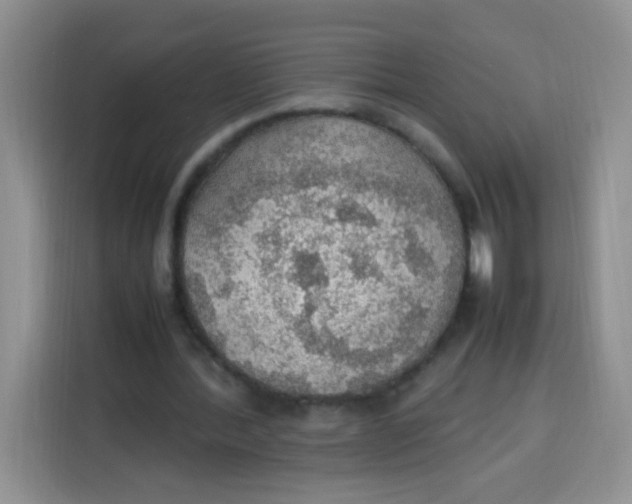 X0000113780388200910141043