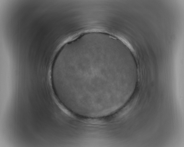 X0000113780389200910141043