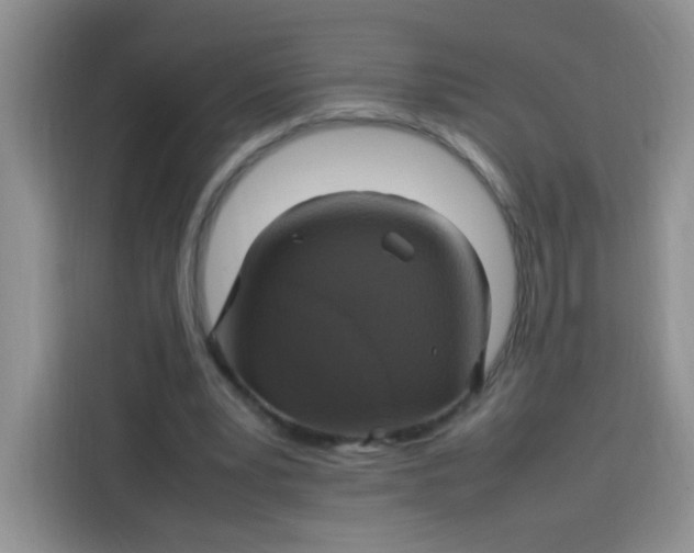 X0000113780391200910141043