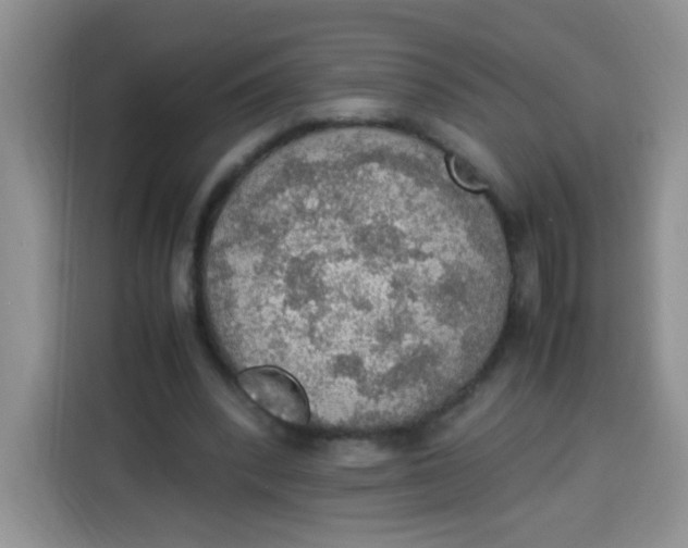 X0000113780392200910141043