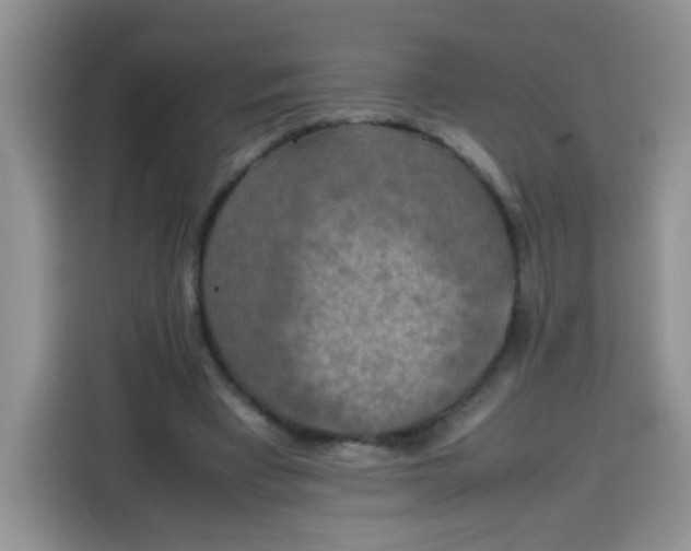 X0000113780393200910141043