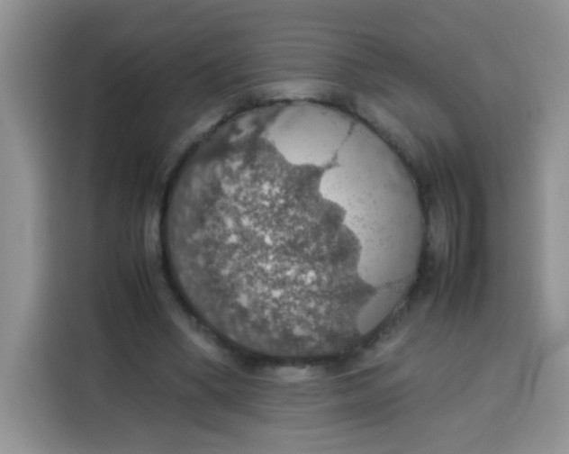 X0000113780394200910141042