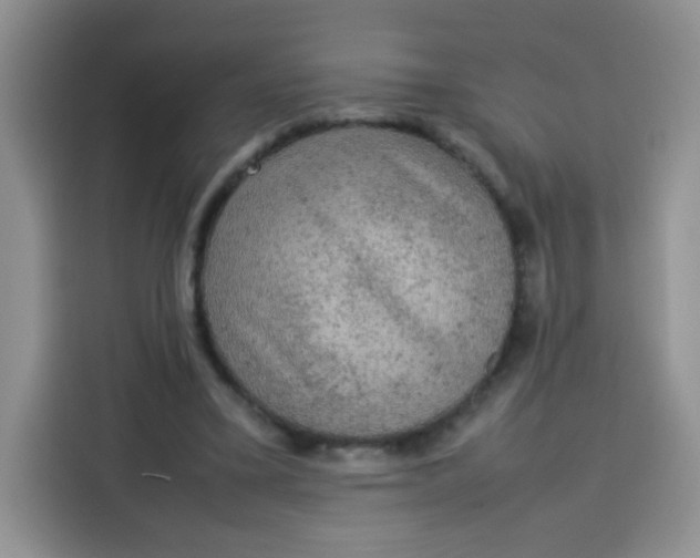 X0000113780395200910141042