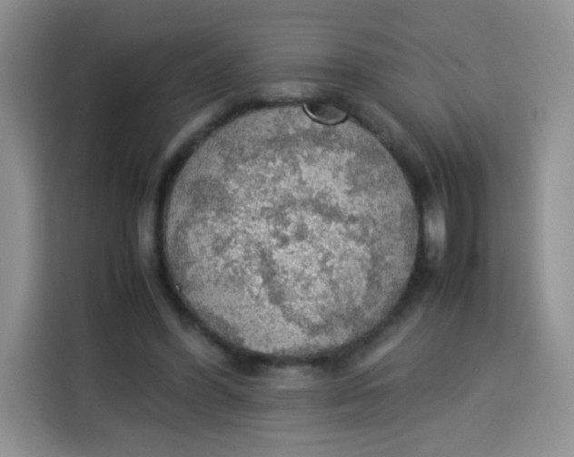 X0000113780396200910141042