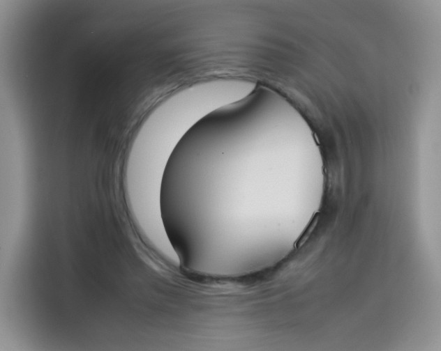 X0000113780397200910141042