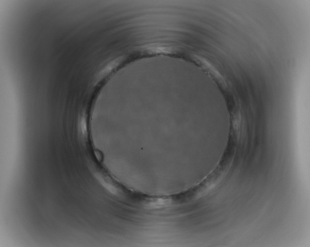 X0000113780398200910141042