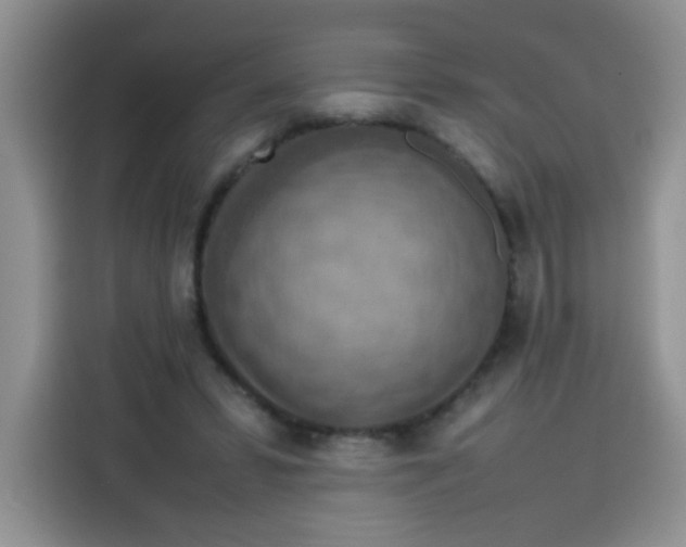 X0000113780399200910141042