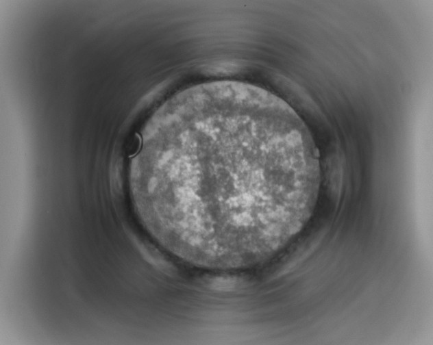 X0000113780400200910141042