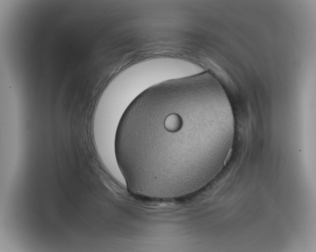 X0000113780401200910141042