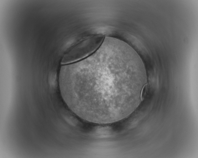 X0000113780403200910141042