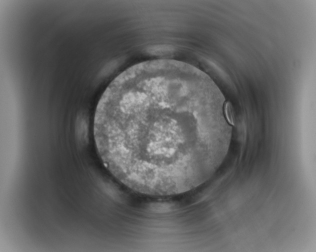 X0000113780404200910141042