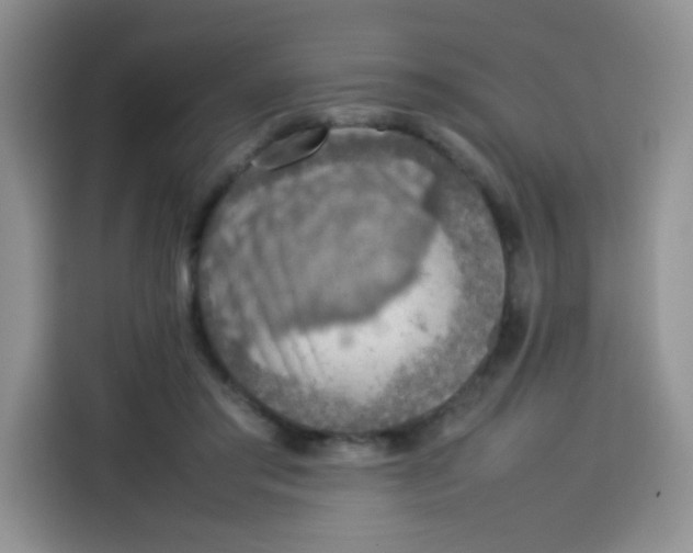 X0000113780405200910141042