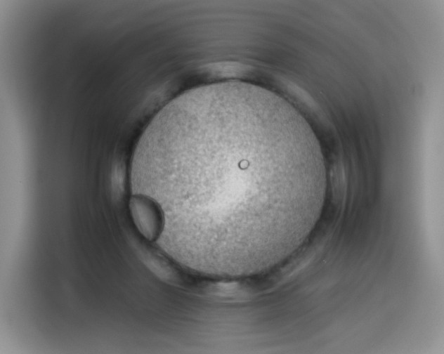 X0000113780406200910141042