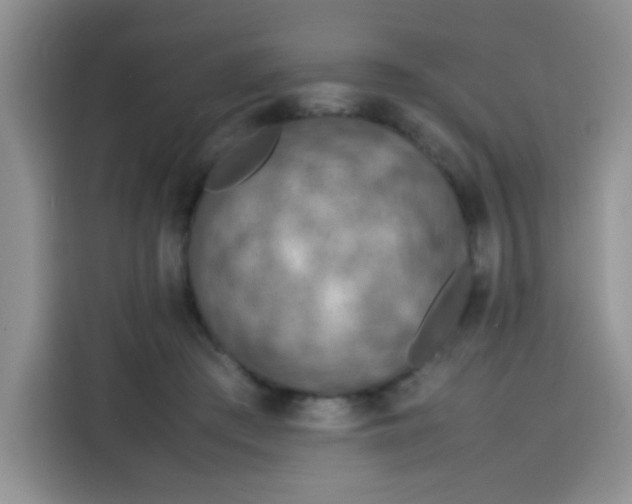 X0000113780409200910141042