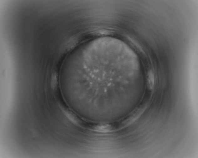 X0000113780410200910141042