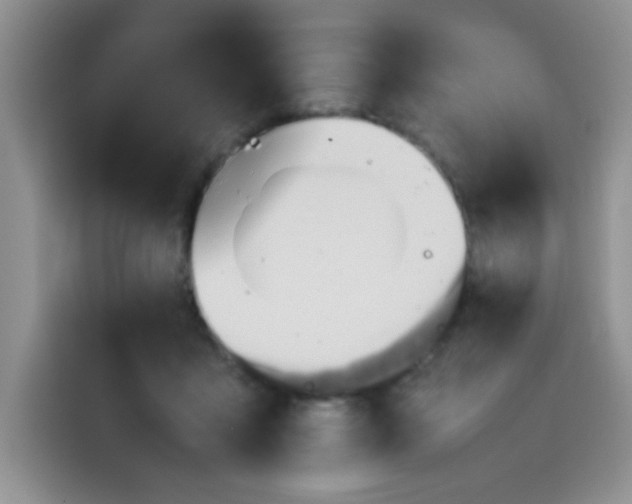 X0000113780411200910141042