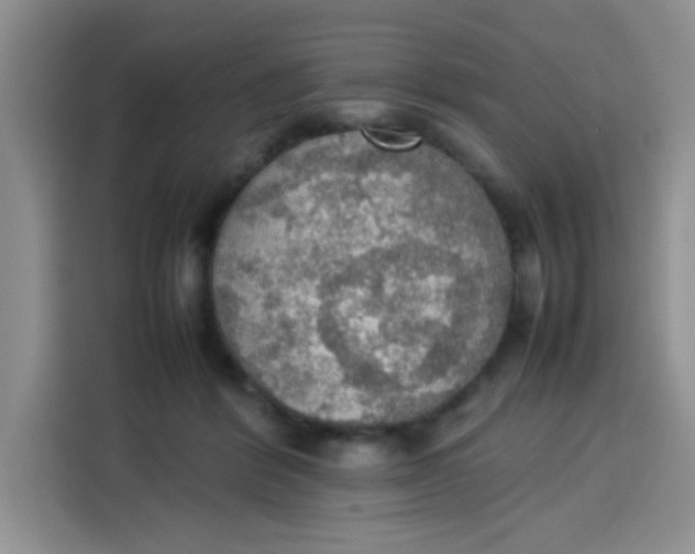 X0000113780412200910141042