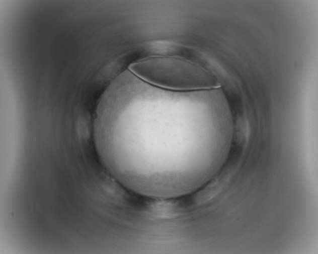 X0000113780413200910141042