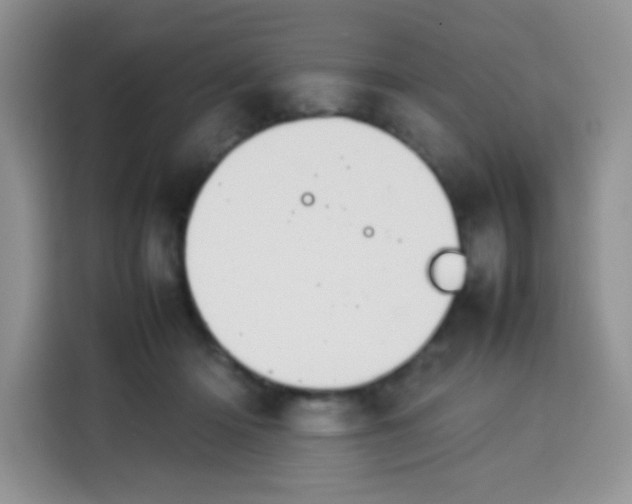 X0000113780414200910141042